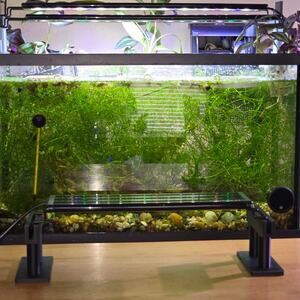 Aquarium Flat Surface Light Risers Single Level Notched Base for Tanks with Lids